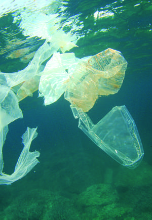 Direct action on plastic pollution