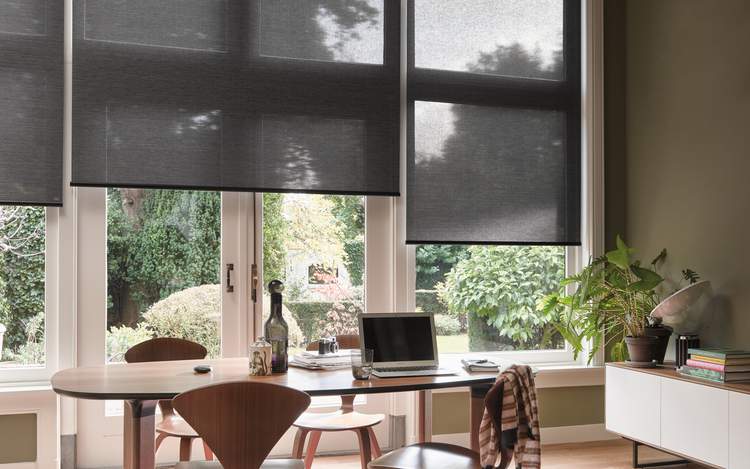 Screen Roller Blinds