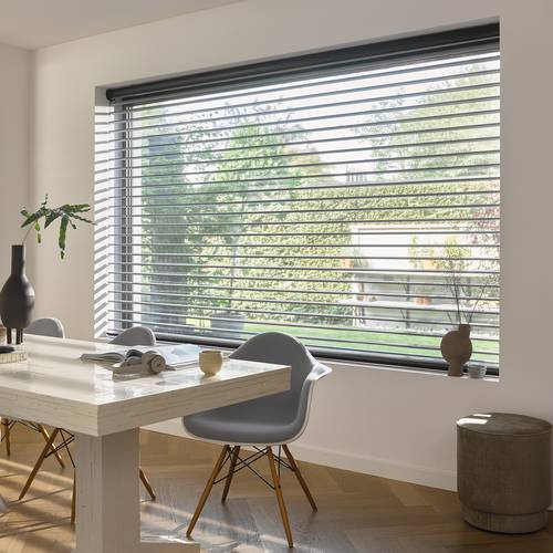 Silhouette® ClearView™ Shades